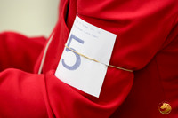 Chihuahua Long Coat #5 Linda Vandivier Fri