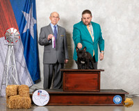 French Bulldog #23 Fri RWD Judge Kenneth Buxton