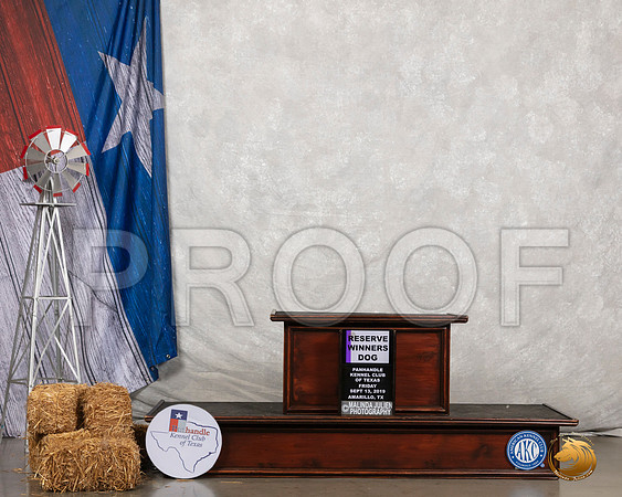 French Bulldog #23 Fri RWD Judge Kenneth Buxton__SR_8233_Amrilo2019-HR3