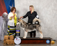 Alaskan #6 Thurs BOB Judge Elizabeth Muthard