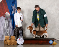 Basset Hound #5 Fri OHG4 Judge Donna Buxton
