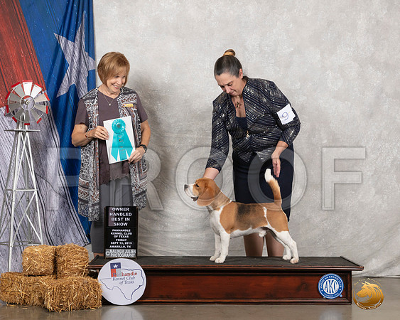 Beagle 15 #9 Fri OHBIS Judge Nancy Liebes__SR_8443_Amrilo2019-HR3