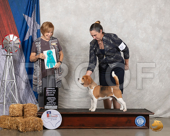Beagle 15 #9 Fri OHBIS Judge Nancy Liebes__SR_8444_Amrilo2019-HR3