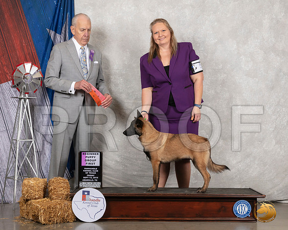 Belgian Malinois #5 Fri PG1 Judge Robert Hutton__SR_8273_Amrilo2019-HR3