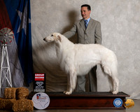 Borzoi #5 Thurs G2 Judge Charles Olvis