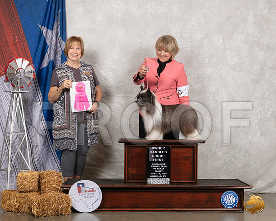 Chinese Crested #11 Fri OHG1 Judge Nancy Liebes__SR_8465_Amrilo2019-HR3