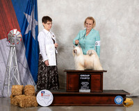 Chinese Crested #22 Fri G4 Judge Donna Buxton