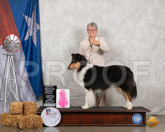Collie Rough #5 Fri OHG1__SR_8462_Amrilo2019-HR3