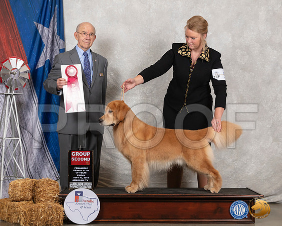 Golden Retriever #9 Fri G2 Judge Kenneth Buxton__SR_8380_Amrilo2019-HR3