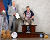 Havanese #12 Fri OHG4 Judge Robert Hutton