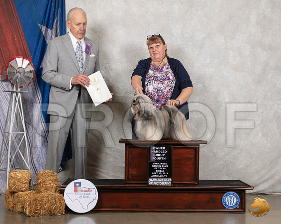 Havanese #12 Fri OHG4 Judge Robert Hutton__SR_8341_Amrilo2019-HR3