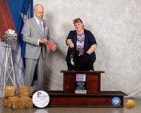 Havanese #6 Fri PG1 Judge Robert Hutton