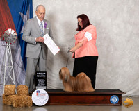 Lhasa Apso #7 Fri G4 Judge Robert Hutton