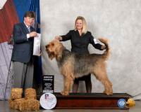 Otterhound #5 Fri G4 Judge Charles Olvis