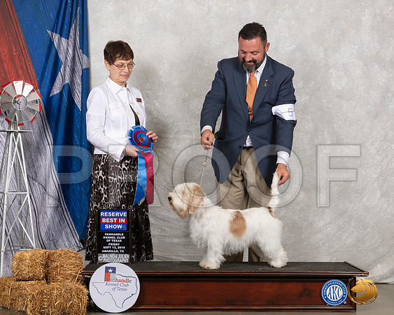 PBGV #6 Fri RBIS Judge Donna Buxton__SR_8405_Amrilo2019-HR3