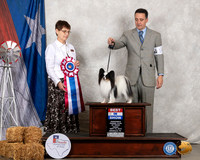 Papillon #14 Fri BIS Judge Donna Buxton
