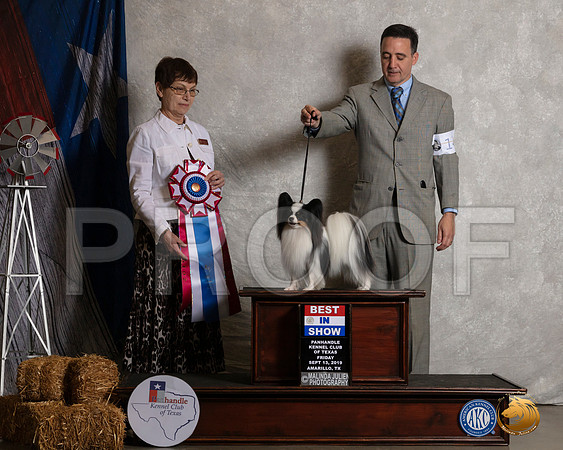 Papillon #14 Fri BIS Judge Donna Buxton__SR_8400_Amrilo2019-HR3