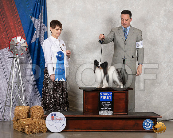 Papillon #14 Fri G1 Judge Donna Buxton__SR_8283_Amrilo2019-HR3