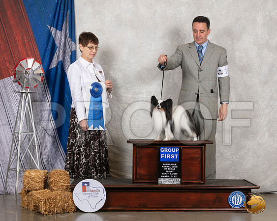 Papillon #14 Fri G1 Judge Donna Buxton__SR_8284_Amrilo2019-HR3