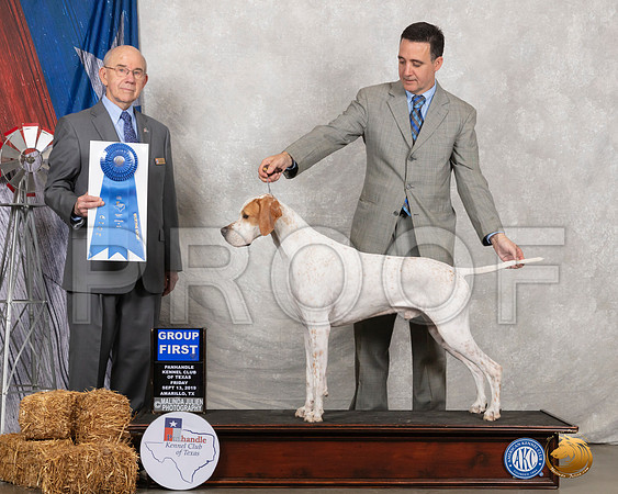 Pointer #5 Fri G1 Judge Kenneth Buxton__SR_8411_Amrilo2019-HR3