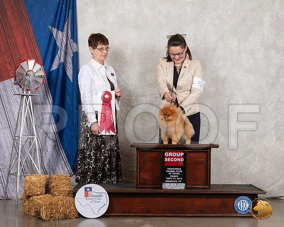 Pomeranian #5 Fri G2 Judge Donna Buxton__SR_8287_Amrilo2019-HR3