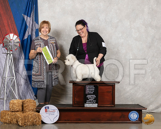 West Highland White Terrier #10 Fri RBIS Judge Nancy Liebes__SR_8452_Amrilo2019-HR3