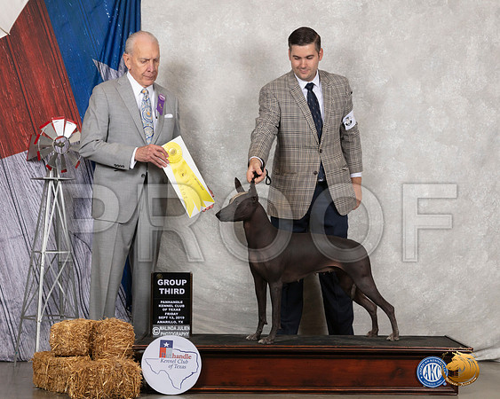 Xolo #6 Fri G3 Judge Robert Hutton__SR_8366_Amrilo2019-HR3