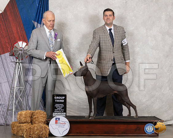 Xolo #6 Fri G3 Judge Robert Hutton__SR_8368_Amrilo2019-HR3