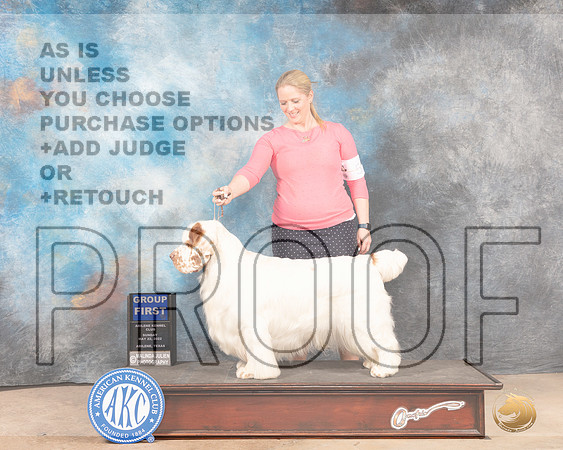 Clumber Spaniel #5 Sun G1 Judge Lori Nelson-MMJ_4971-Abilene2022-HR3