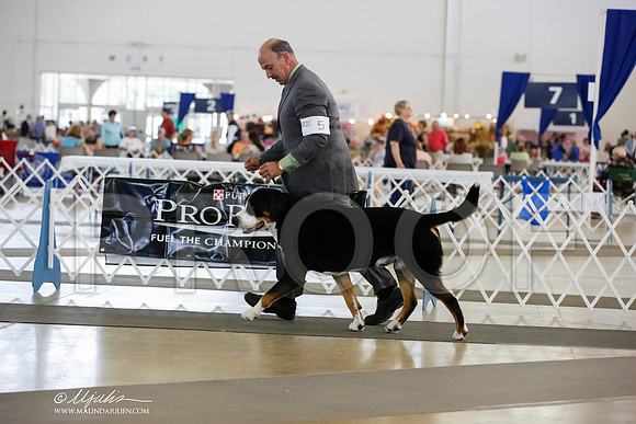 _JN_3532-DallasJul2014-HR3
