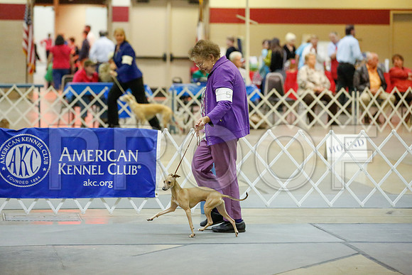 _JJ_8428-AmarilloSept2014-HR3