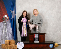 American Hairless Terrier #12 Sat BOSweeps Judge Malinda Julien
