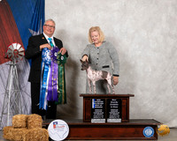 American Hairless Terrier #12 Sat BOW Judge John Booth