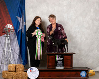 American Hairless Terrier #20 Sat Judge Malinda Julien