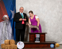 American Hairless Terrier #64 Sat BBX2nd Judge John Booth