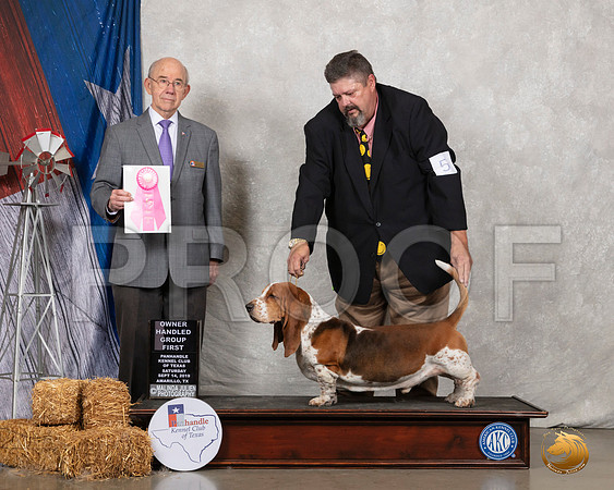 Basset Hound #5 Sat OHG1 Judge Kevin Buxton__SR_8758_Amrilo2019-HR3