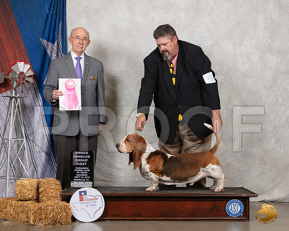 Basset Hound #5 Sat OHG1 Judge Kevin Buxton__SR_8759_Amrilo2019-HR3