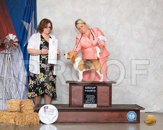 Beagle 13 #10 Sat G4 Judge Elizabeth Muthard__SR_8763_Amrilo2019-HR3