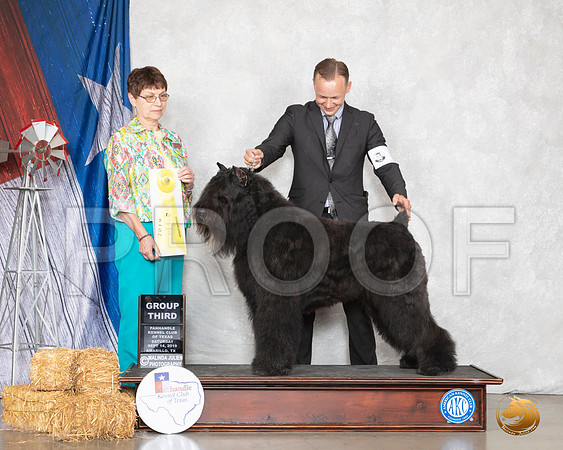 Bouvier #5 Sat G3 Judge Donna Buxton__SR_8770_Amrilo2019-HR3