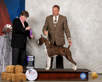 Boxer #15 Sat WD Judge Charles Olvis