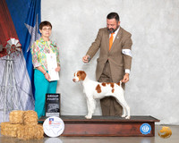 Brittany #6 Sat G4 Judge Donna Buxton