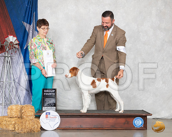 Brittany #6 Sat G4 Judge Donna Buxton__SR_8795_Amrilo2019-HR3