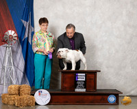 Bulldog #6 Sat WD Judge Donna Buxton