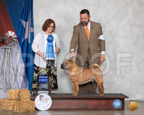 Chinese Crested #9 Sat G1 Judge Elizabeth Muthard__SR_8813_Amrilo2019-HR3