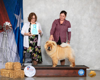 Chow #12 Sat BOW OHBIS Judge Elizabeth Muthard