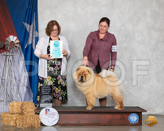 Chow #12 Sat BOW OHBIS Judge Elizabeth Muthard__SR_8823_Amrilo2019-HR3