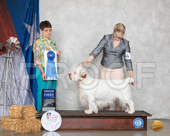 Clumber Spaniel #5 Sat G1 Judge Donna Buxton__SR_8774_Amrilo2019-HR3