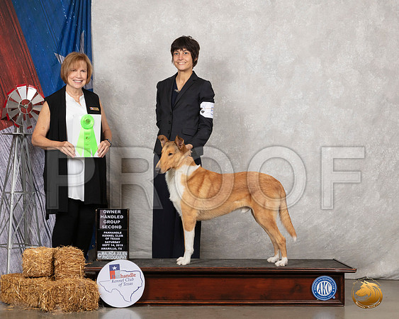 Collie Smooth #5 Sat OHG2 Judge Nancy Liebes__SR_8727_Amrilo2019-HR3