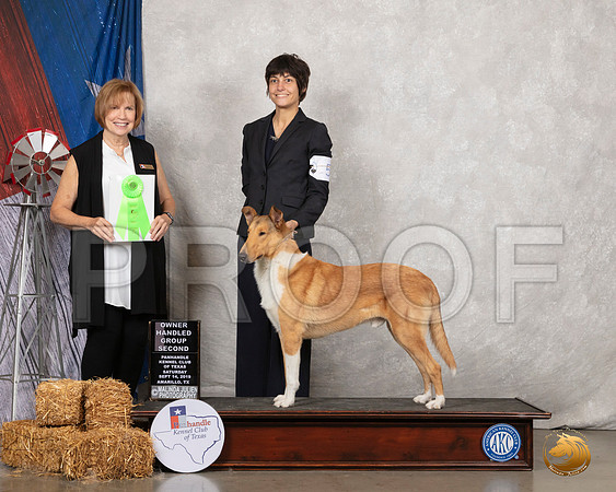 Collie Smooth #5 Sat OHG2 Judge Nancy Liebes__SR_8728_Amrilo2019-HR3