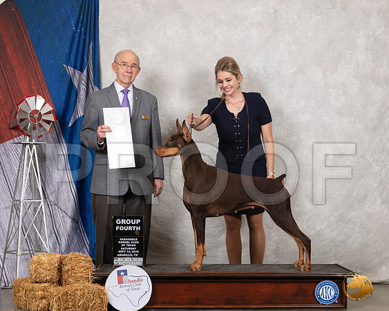 Doberman Pinscher #10 Sat G4 Judge Kenneth Buxton__SR_8685_Amrilo2019-HR3
